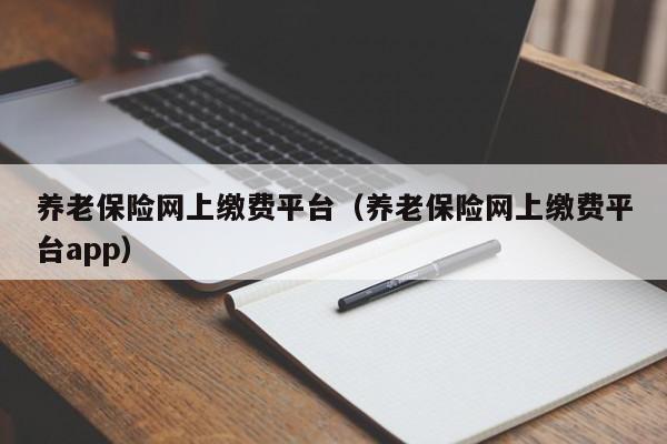 养老保险网上缴费平台（养老保险网上缴费平台app）