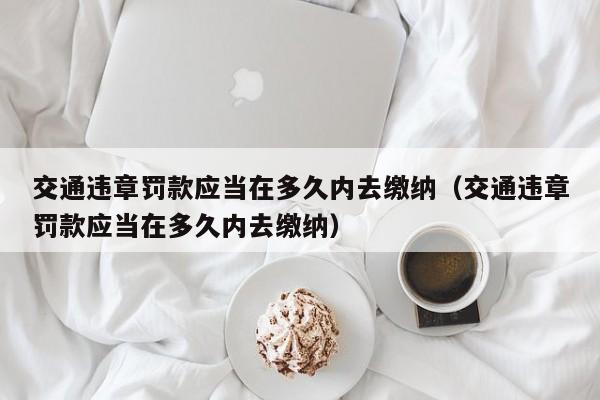 交通违章罚款应当在多久内去缴纳（交通违章罚款应当在多久内去缴纳）