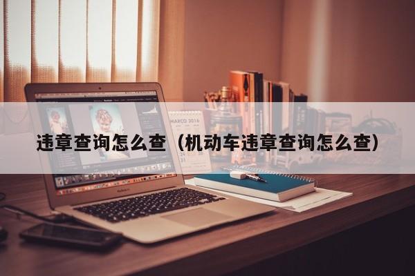 违章查询怎么查（机动车违章查询怎么查）