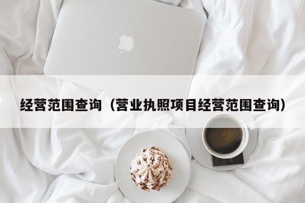 经营范围查询（营业执照项目经营范围查询）