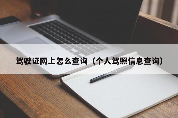 驾驶证网上怎么查询（个人驾照信息查询）