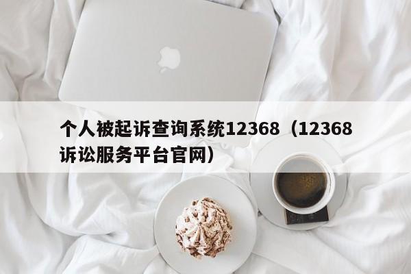 个人被起诉查询系统12368（12368诉讼服务平台官网）