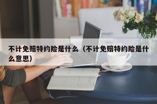 不计免赔特约险是什么（不计免赔特约险是什么意思）