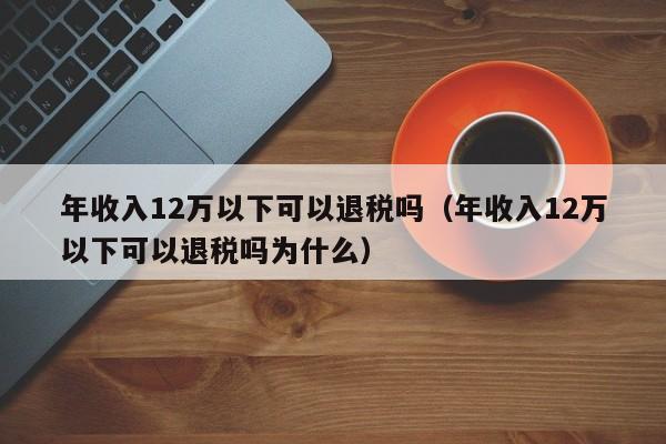 年收入12万以下可以退税吗（年收入12万以下可以退税吗为什么）