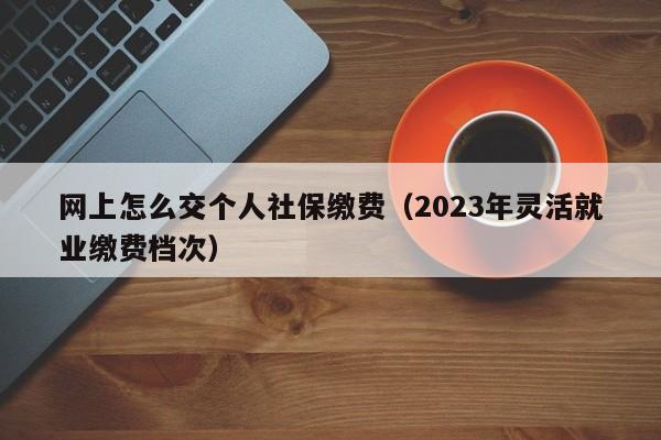 网上怎么交个人社保缴费（2023年灵活就业缴费档次）