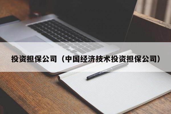 投资担保公司（中国经济技术投资担保公司）