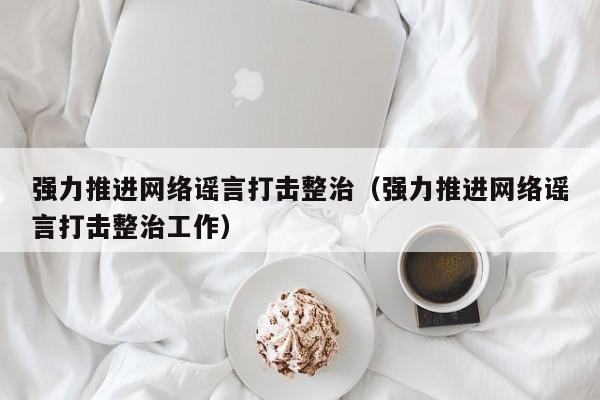 强力推进网络谣言打击整治（强力推进网络谣言打击整治工作）