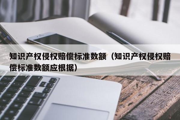 知识产权侵权赔偿标准数额（知识产权侵权赔偿标准数额应根据）