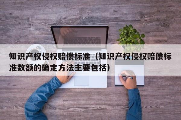 知识产权侵权赔偿标准（知识产权侵权赔偿标准数额的确定方法主要包括）