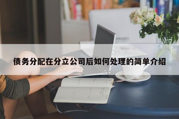 债务分配在分立公司后如何处理的简单介绍