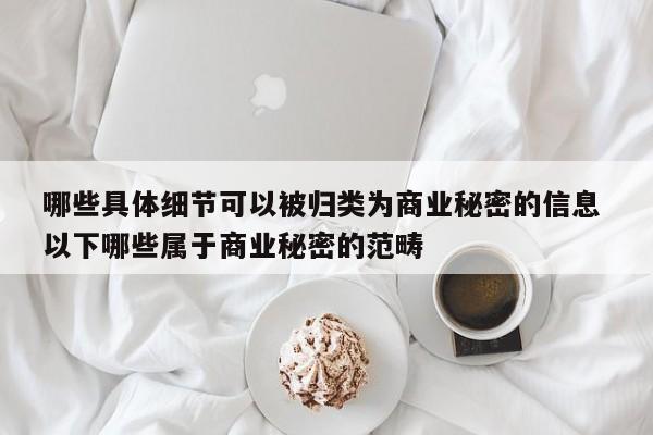 哪些具体细节可以被归类为商业秘密的信息 以下哪些属于商业秘密的范畴