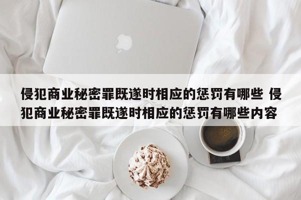 侵犯商业秘密罪既遂时相应的惩罚有哪些 侵犯商业秘密罪既遂时相应的惩罚有哪些内容