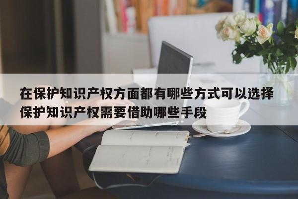 在保护知识产权方面都有哪些方式可以选择 保护知识产权需要借助哪些手段