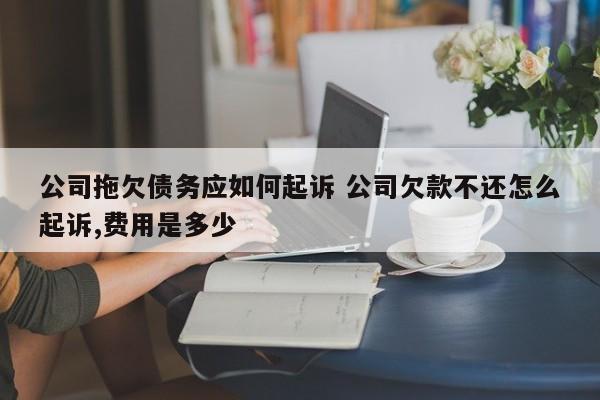 公司拖欠债务应如何起诉 公司欠款不还怎么起诉,费用是多少