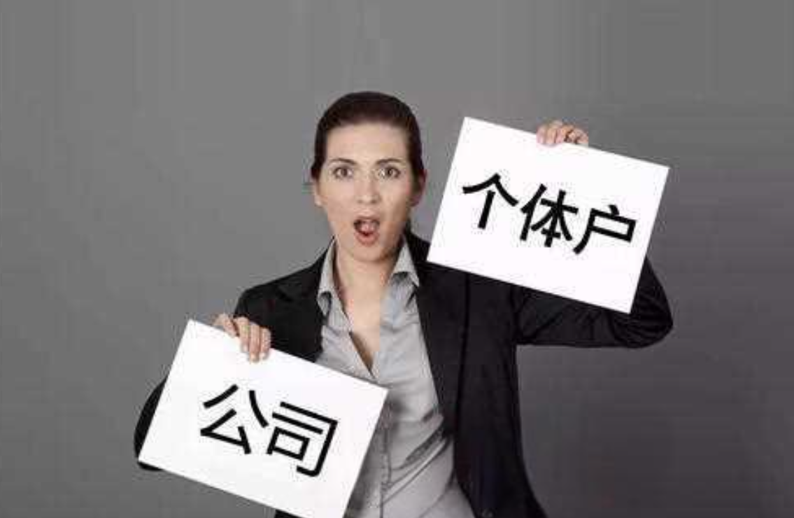 盈利法人与非盈利法人的核心差异