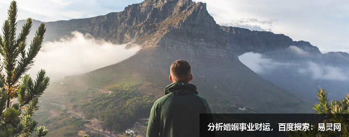 放弃继承的遗产如何处理（放弃继承的后续操作）