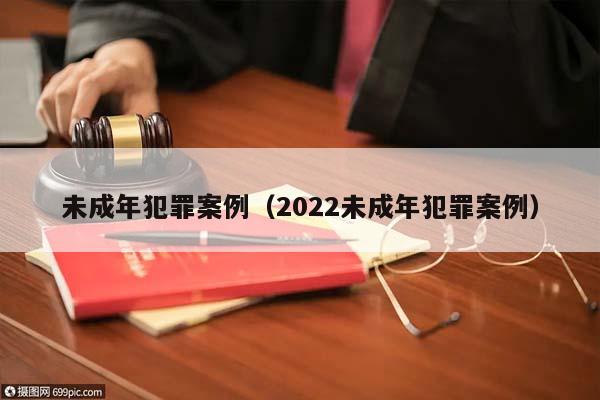 未成年犯罪案例（2022未成年犯罪案例）