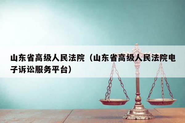 山东省高级人民法院（山东省高级人民法院电子诉讼服务平台）