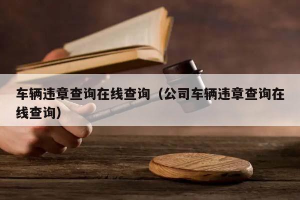 车辆违章查询在线查询（公司车辆违章查询在线查询）