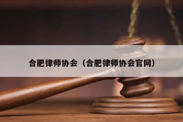 合肥律师协会（合肥律师协会官网）