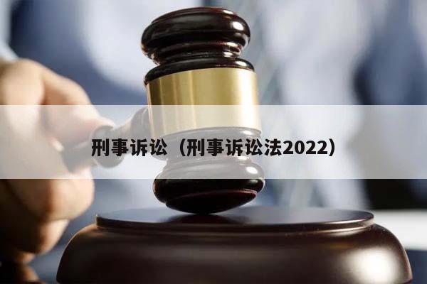 刑事诉讼（刑事诉讼法2022）