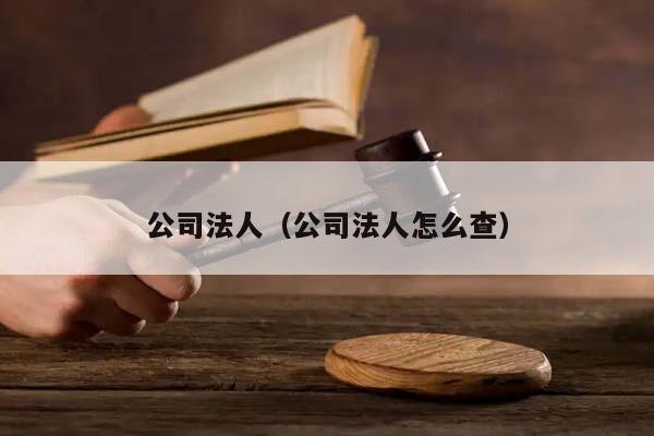 公司法人（公司法人怎么查）