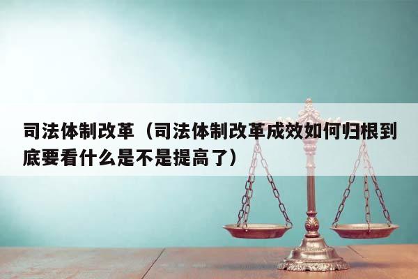 司法体制改革（司法体制改革成效如何归根到底要看什么是不是提高了）