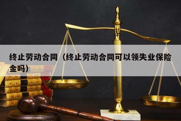 终止劳动合同（终止劳动合同可以领失业保险金吗）