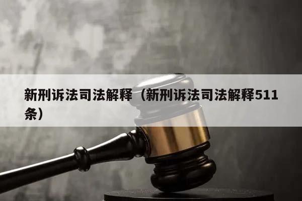 新刑诉法司法解释（新刑诉法司法解释511条）