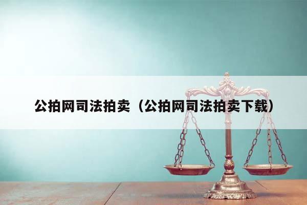 公拍网司法拍卖（公拍网司法拍卖下载）