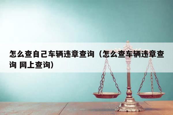 怎么查自己车辆违章查询（怎么查车辆违章查询 网上查询）