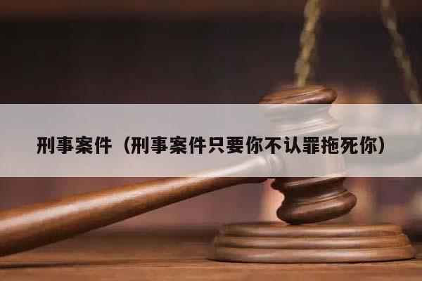 刑事案件（刑事案件只要你不认罪拖死你）