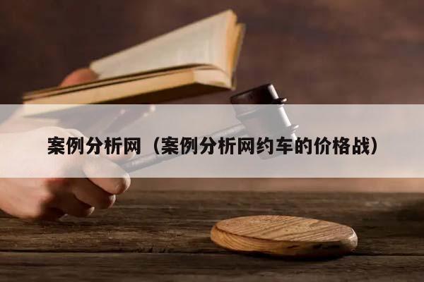 案例分析网（案例分析网约车的价格战）