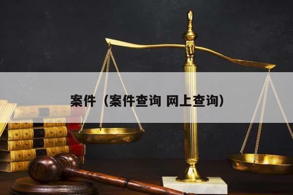 案件（案件查询 网上查询）