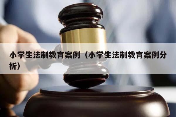 小学生法制教育案例（小学生法制教育案例分析）