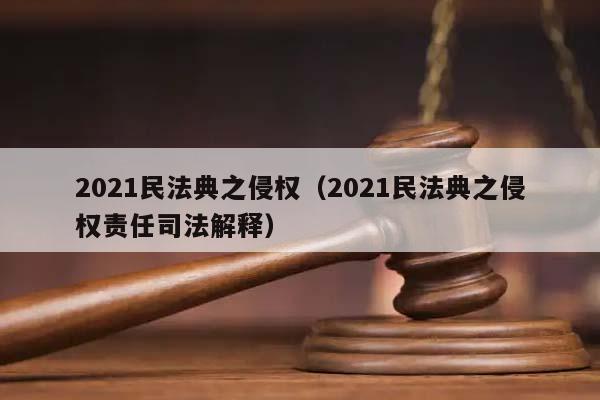2021民法典之侵权（2021民法典之侵权责任司法解释）
