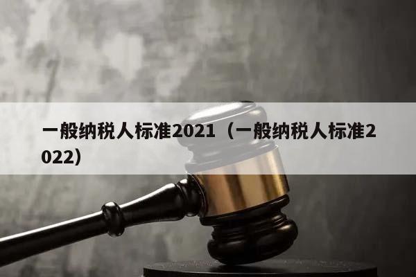 一般纳税人标准2021（一般纳税人标准2022）