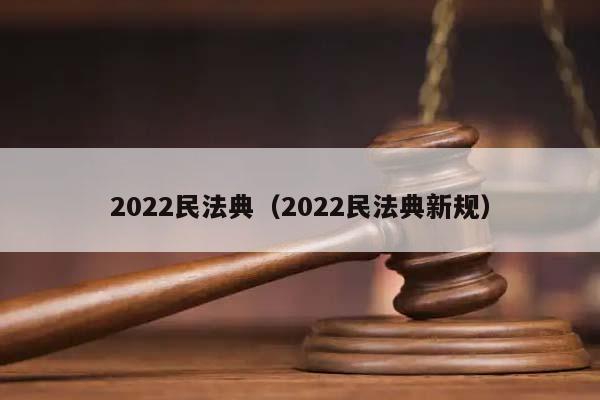 2022民法典（2022民法典新规）
