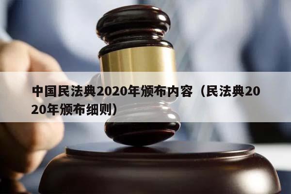 中国民法典2020年颁布内容（民法典2020年颁布细则）