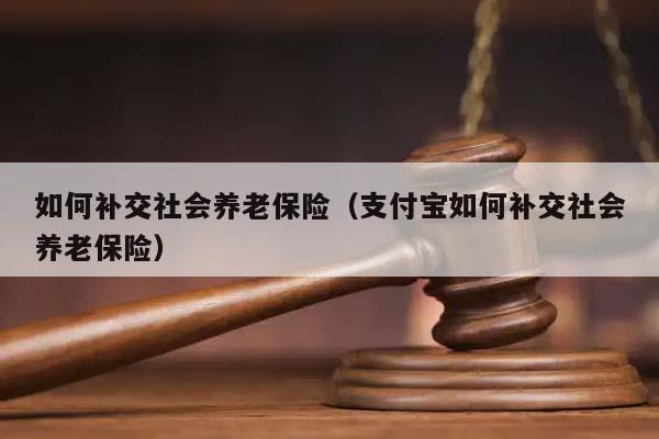 如何补交社会养老保险（支付宝如何补交社会养老保险）