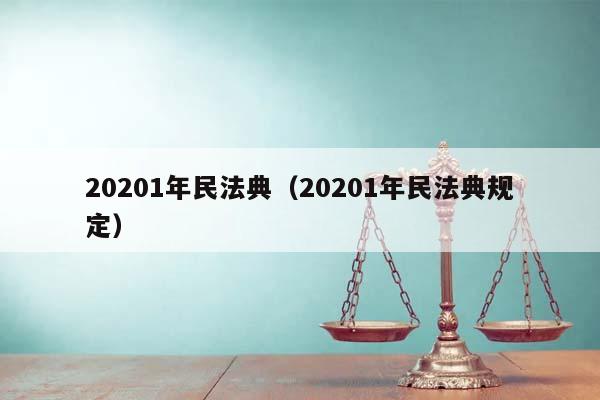 20201年民法典（20201年民法典规定）