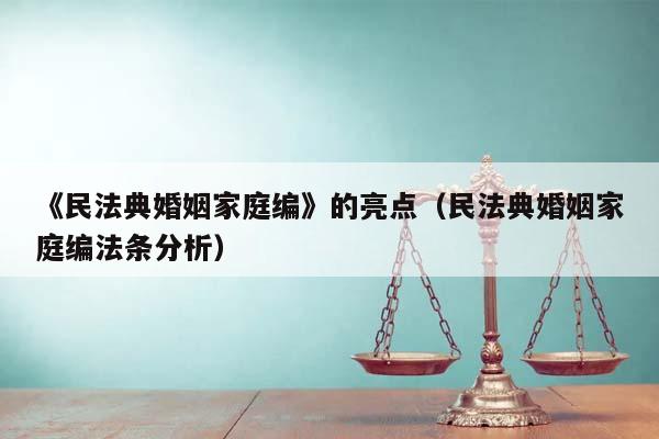 《民法典婚姻家庭编》的亮点（民法典婚姻家庭编法条分析）