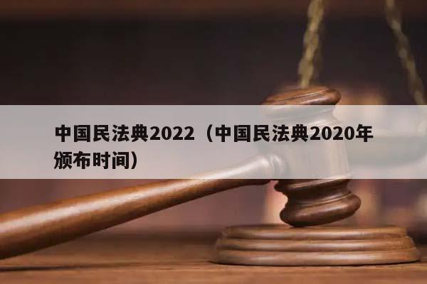 中国民法典2022（中国民法典2020年颁布时间）