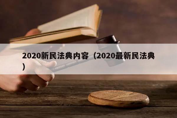 2020新民法典内容（2020最新民法典）