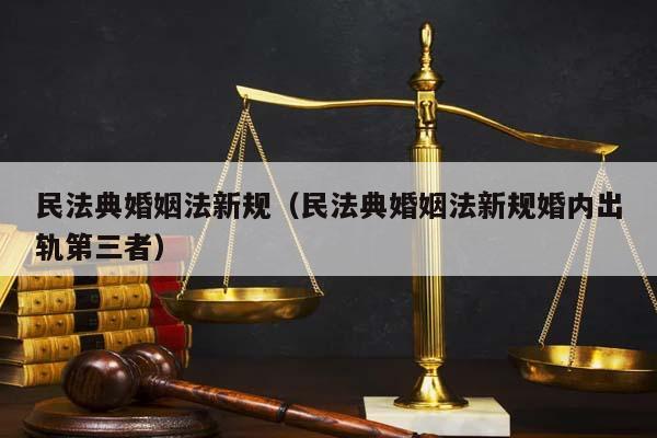 民法典婚姻法新规（民法典婚姻法新规婚内出轨第三者）