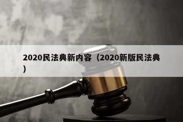 2020民法典新内容（2020新版民法典）