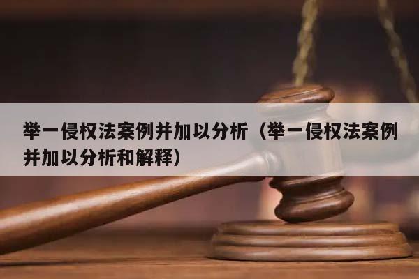 举一侵权法案例并加以分析（举一侵权法案例并加以分析和解释）