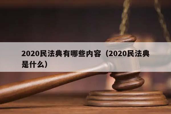 2020民法典有哪些内容（2020民法典是什么）