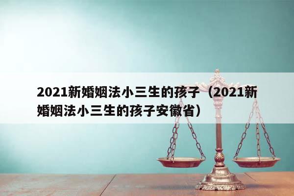 2021新婚姻法小三生的孩子（2021新婚姻法小三生的孩子安徽省）