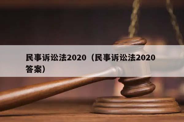 民事诉讼法2020（民事诉讼法2020 答案）